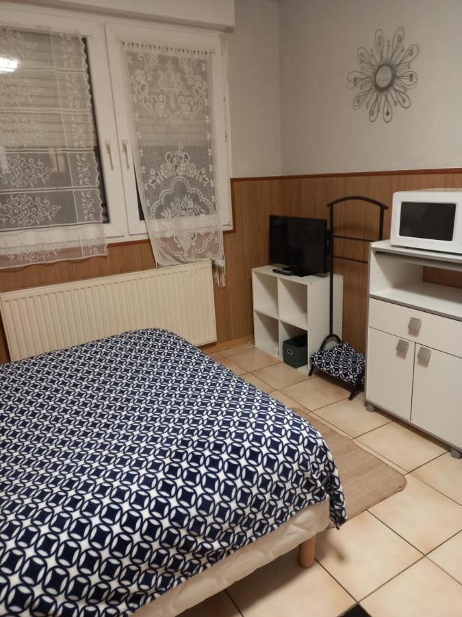 Les Appartements Du Lion De Belfort Exterior foto