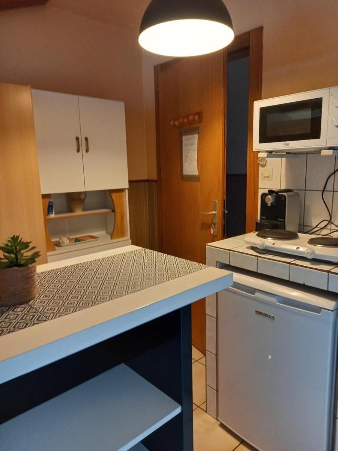 Les Appartements Du Lion De Belfort Exterior foto